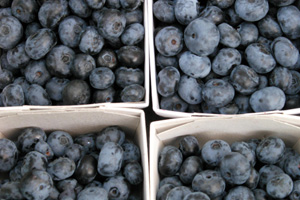 blue berry snacks